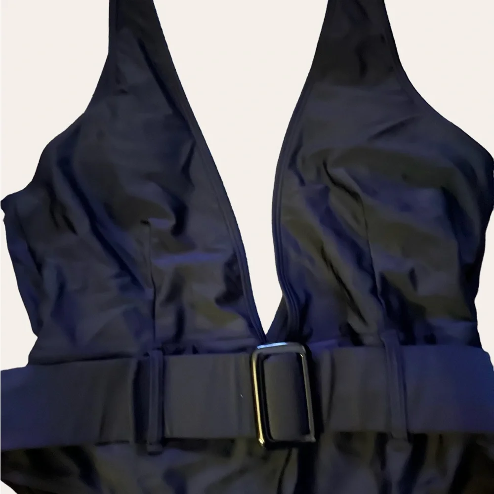 Very daring deep plunging swimsuit - Picture 2 of 5